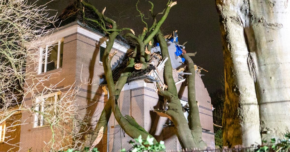 Meisje (19) overleden door omvallende boom tijdens zware storm Conall