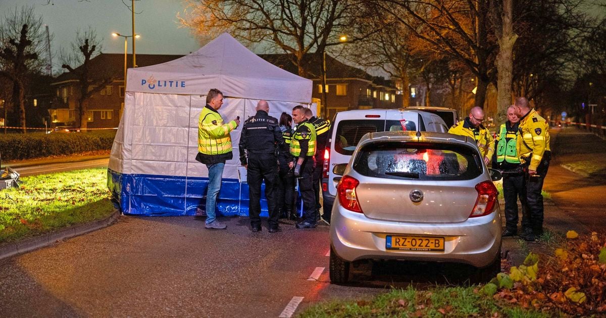 Voetganger dodelijk geschept door bestelbus in Schiedam: bestuurder aangehouden