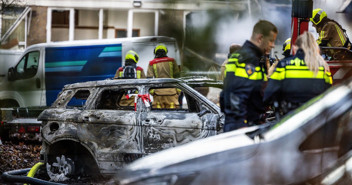 Verdachte van dodelijk drama Tarwekamp kent verleden vol geweld: ‘Je gaat iets meemaken wat jullie kk-Hollanders niet kennen’ | Binnenland