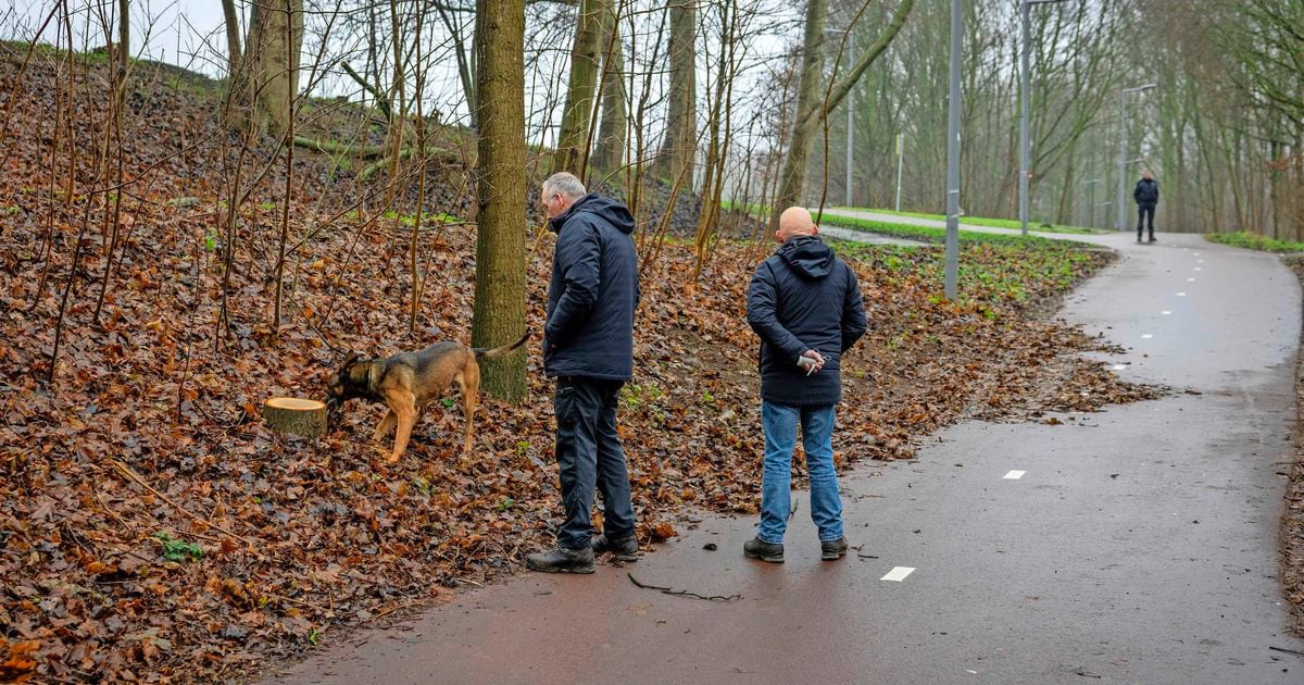 Rotterdamse buurt angstig na twee fatale incidenten: ’Ik heb een hond, maar een kogel kop je niet even terug’