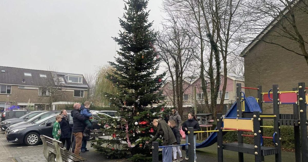 Kerstboomoorlog in Leiden: door één klacht moet ’gezellige buurt-boom’ weg