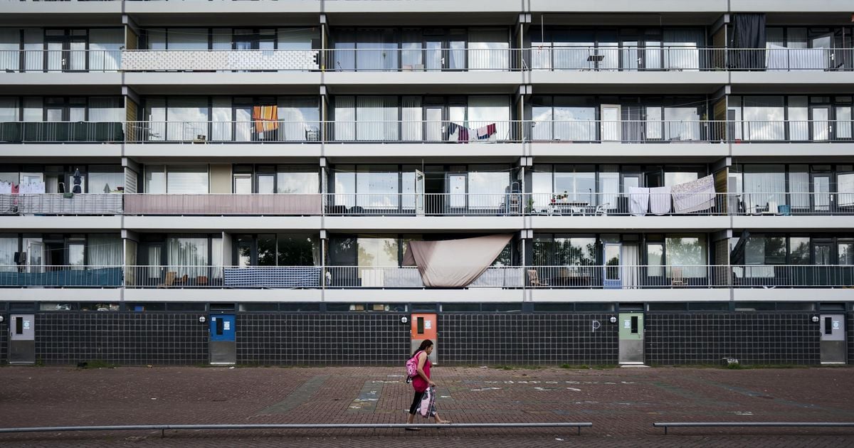 Heftige rellen verwacht tijdens jaarwisseling in wijk Poelenburg in Zaandam: ’Plan om politie te lokken en te bekogelen met zwaar vuurwerk’