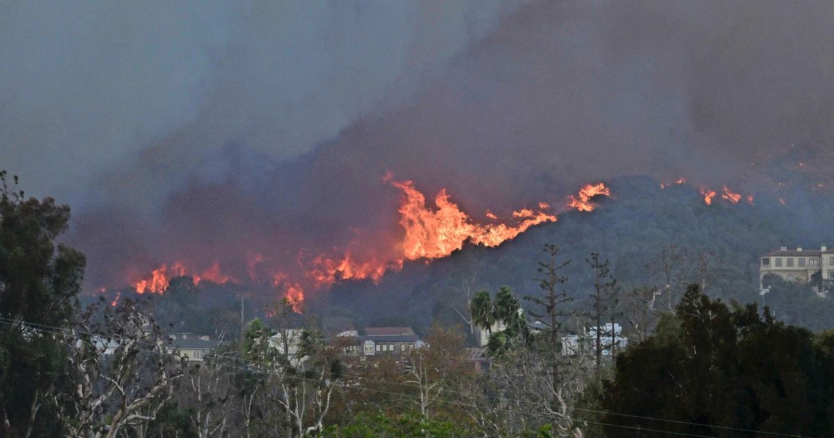 Grote bosbrand Los Angeles raast door woonwijk, inwoners te voet gevlucht voor vuurzee