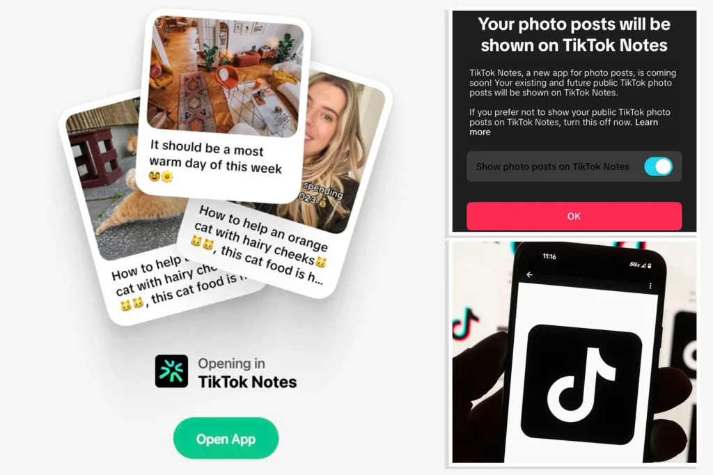 TikTok Notes