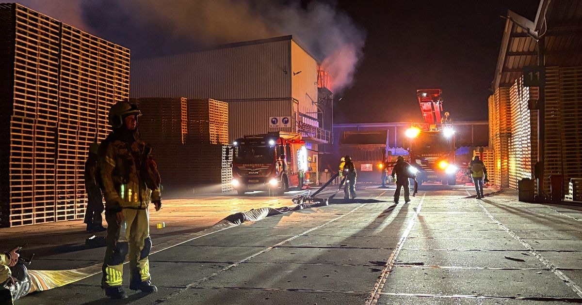 Zeer grote brand bij houten palletbedrijf in Hasselt, veel rook