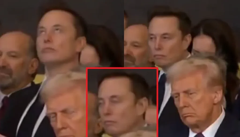 Musk 