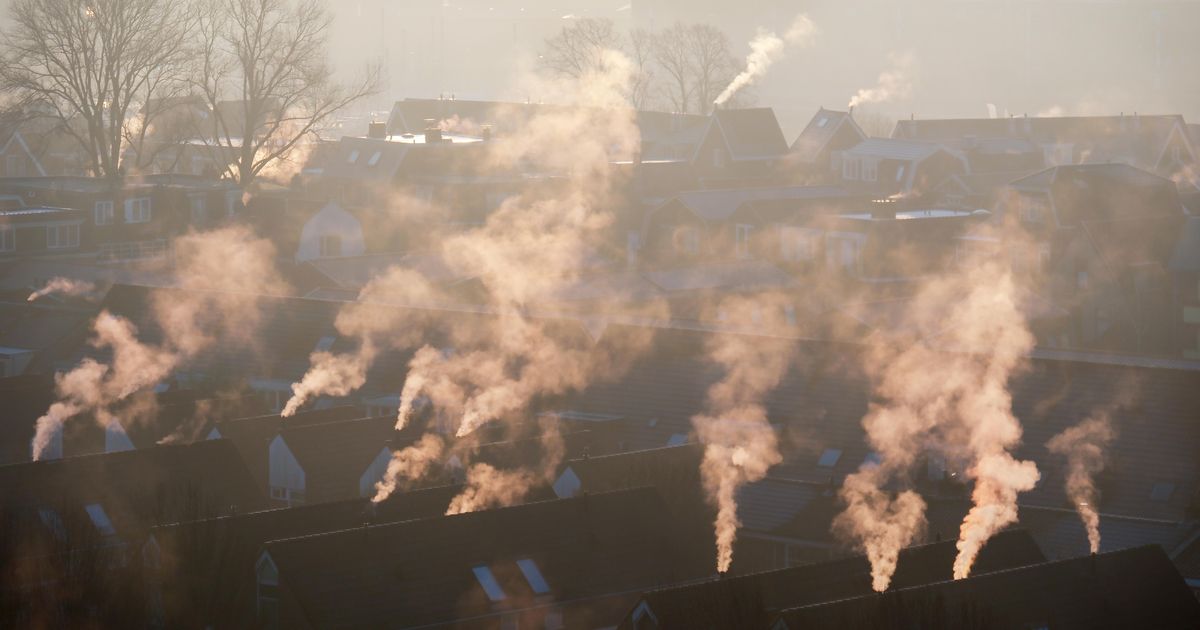 Eerste matige vorst in De Bilt, later dan gebruikelijk | Binnenland